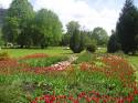 Park Park